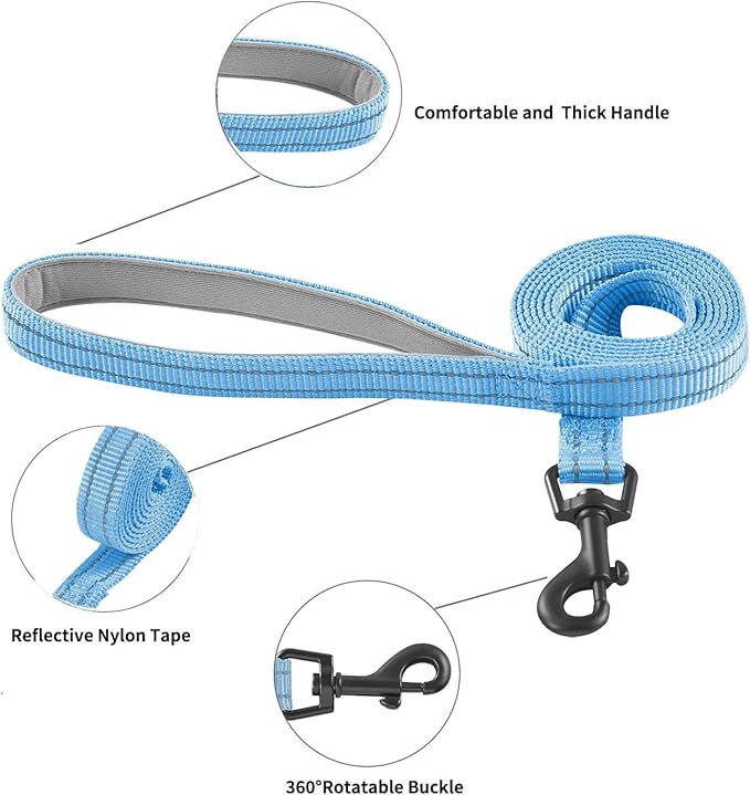 Hipubby Dog Harness and Leash Set, No Pull Soft Mesh Puppy Harness for Small Medium Dogs, Cats - Step in Reflective Breathable Lightweight Vest Harness for Walking, Training - Blue, S