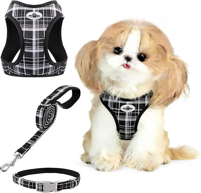 Gyuzh No Pull Cat Harness - 3-in-1 Step in Harness Collar Leash Set for Puppy & Kitten Walking & Training, Lightweight Plaid Vest (Black, M)