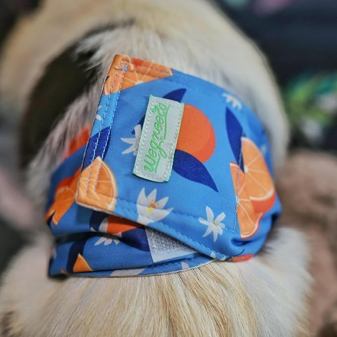 wegreeco Washable Male Dog Belly Band (Stylish Pattern)- Pack of 3 - Washable Male Dog Belly Wrap, Dog Diapers Male (Fruit, X-Large)