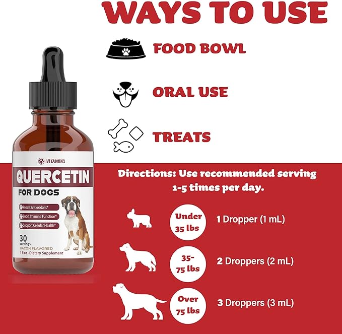 Quercetin for Dogs | Dog Allergy Relief | Quercetin for Dogs Allergies | Dog Allergy | Quercetin | Dog Allergy Support | Quercetin Dog | Dog Allergies | Quercetin Supplements | Bacon Flavor (2 Pack)