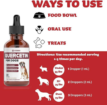 Quercetin for Dogs | Dog Allergy Relief | Quercetin for Dogs Allergies | Dog Allergy | Quercetin | Dog Allergy Support | Quercetin Dog | Dog Allergies | Quercetin Supplements | Bacon Flavor (2 Pack)