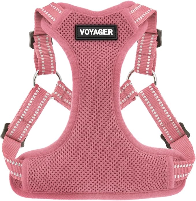 Best Pet Supplies Voyager Adjustable Step-in Flex Breathable Mesh Dog Harness for Small Medium Large Dogs (Pink), XS