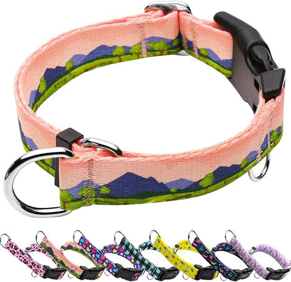 Martingale Collar for Dogs with Buckle No Pull Adjustable Nylon Limited Slip Training Dog Collars (Red Sunset, Large)