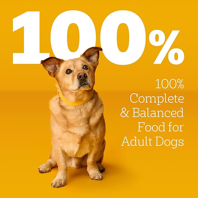 Pedigree Choice Cuts in Gravy Wet Dog Food, Adult Soft Wet Dog Food, Variety Pack, 3.5 oz. Pouches, 18 Count
