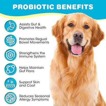 Probiotics for Dogs, Dog Probiotics for Diarrhea & Bowel Support, Digestive Enzymes Promotes Gut Health, Immunity Health & Itch Relief, Prebiotics and Probiotics (Chicken)