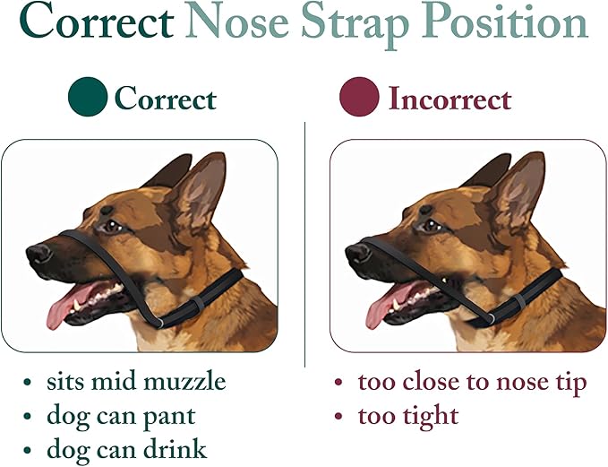 Sporn Head Halter for Dogs, No Pull Dog Harness, Durable Nylon Training Collar for Large Breeds, No Choke Design, Padded Restraints, Adjustable Fit, Easy On/Off, Black, Large