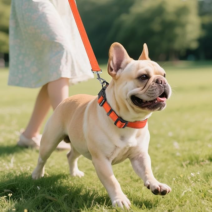 Joytale Reflective Dog Collar, Soft Neoprene Padded, Metal D-Ring, Nylon Pet Collar Adjustable for Medium Dogs, Orange, M