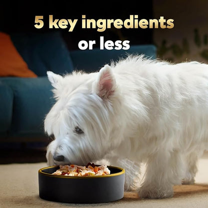 Cesar Simply Crafted Adult Wet Dog Food Toppers for Dry Food, Chicken, Carrots, Barley & Spinach, 1.3 oz Tubs, 10 Count