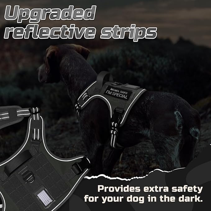 rabbitgoo Tactical Dog Harness Medium Sized Dog, No Pull Military Service Vest with Handle & Molle, Easy Control for Training Walking, Adjustable Reflective Straps, Dark Grey, M