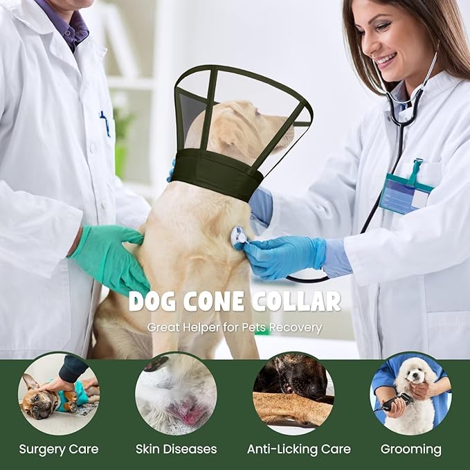 Dog Cone Collar for Dogs After Surgery,Transparent Dogs Cone Stop Licking,Foldable Dog Recovery Collars & Cones Anti-Bite Lick Protective Wound,Protective Elizabethan Collar Alternative,Green,M