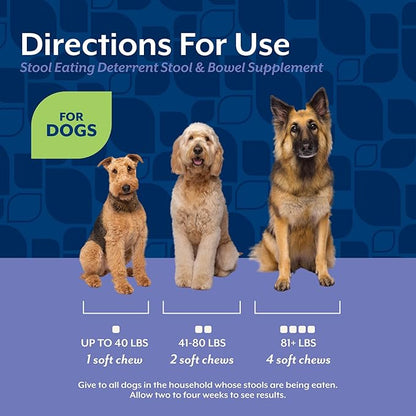 NaturVet – Coprophagia Stool Eating Deterrent Plus Breath Aid – Deters Dogs from Consuming Stool – Enhanced with Breath Freshener, Enzymes & Probiotics – 70 Soft Chews