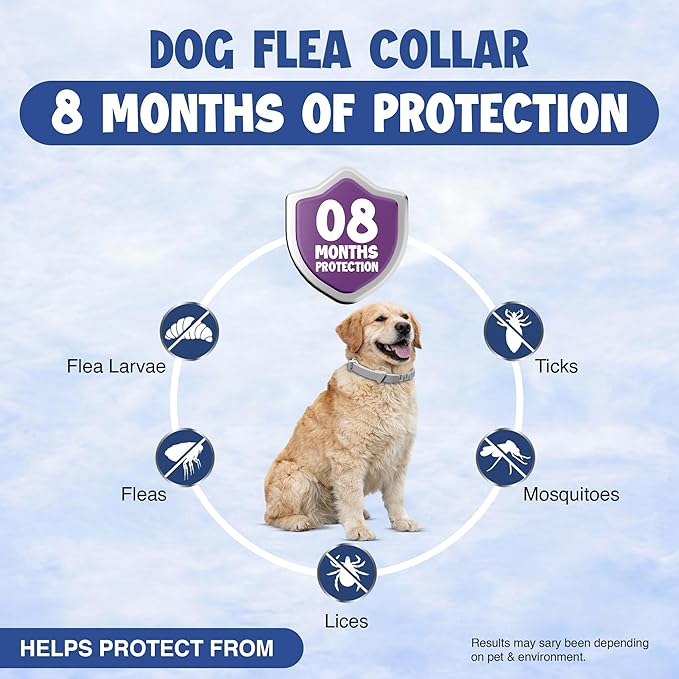 Dog Flea and Tick Collar (2 Pack) – Natural Waterproof Flea Collar for Dogs & Puppies with 8 Month Protection Adjustable Dog Flea Collar Includes Tick Removal Tools & Flea Comb