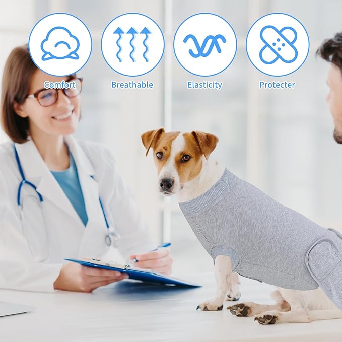 2 Packs Breathable Cotton Dog Recovery Suit for After Neuter Spay Abdominal Wounds Protector, Professional Anti-Licking Onesies for Male Female Pets Surgery Bandages, L Grey Blue Pure