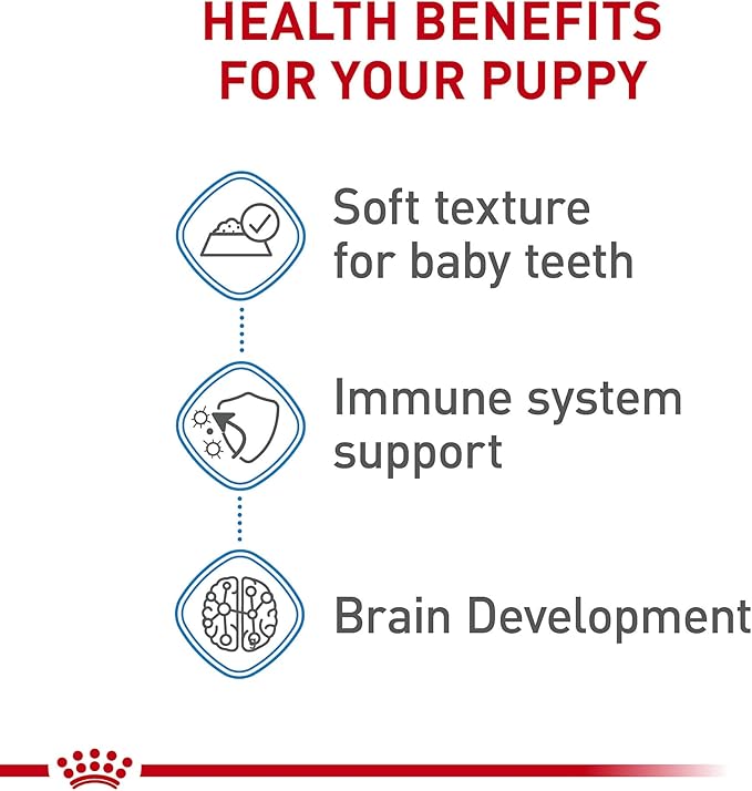 Royal Canin Size Health Nutrition X-Small Puppy Thin Slices in Gravy Dog Food, 3 oz (Pack of 12)