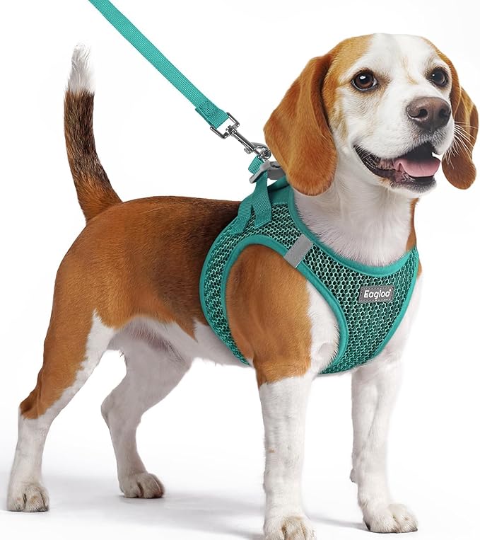 Eagloo Small Dog Harness and Leash Set, Step in Puppy Vest with Breathable Soft Mesh, Walking Reflective Pet Harness for Small Dogs, Forest Green, M