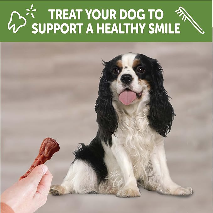 Whimzees Wellness Brushzees Dog Dental Treat, VOHC Accepted Chews, Freshens Breath, Small Size, 12.7 oz Bag, 24 Count