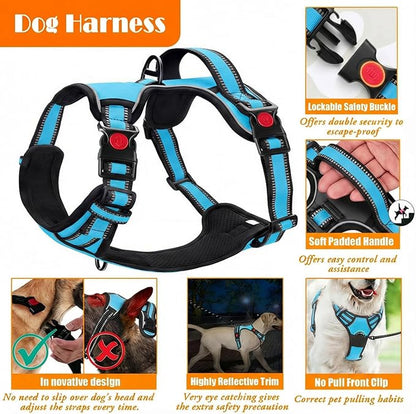 No Pull Dog Harness, Collar & Leash Set | Includes Dog Seat Belt, Collapsible Bowls & Poop Bag Dispenser. Ideal for Training, Walking, Hiking. Fits Small to Large Dogs(Blue-L)