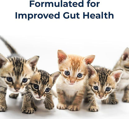Pet-Ag KMR Kitten Milk Replacer Liquid - 11 oz - Ready-to-Feed Kitten Formula with Vitamins for Kittens Newborn to Six Weeks Old - Easy to Digest