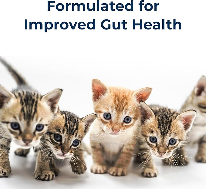 PetAg KMR Kitten Milk Replacer Liquid - 11 oz, Pack of 4 - Ready-to-Feed Kitten Formula with Prebiotics, Probiotics & Vitamins for Kittens Newborn to Six Weeks Old - Easy to Digest