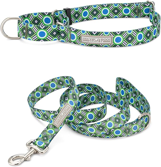 Lucky Love Dog Martingale Dog Collar & Leash - Adjustable, No-Slip, Durable, Comfortable, Soft Webbing, & Stylish Patterned Collar & Leash Set for Male and Female Dogs - Leo Combo, Large