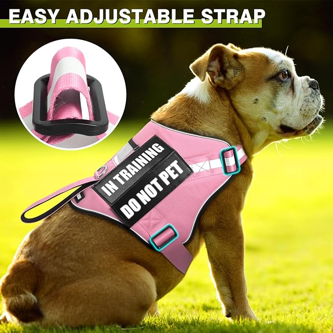 Service Dog Harness and Leash Set, Training Dog Vest with 10 Dog Patches, Emotional Support Therapy Dog Vest Harness for Small Medium Large and Extra Large Dogs(Pink, M)