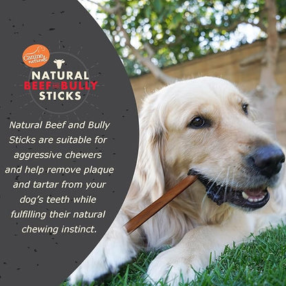 Canine Naturals | Natural Beef & Bully Sticks | 48 Count | Long-Lasting, Odor Free, High Protein Chews Made with 100% Real Bully | Bulk Carton Medium Sticks