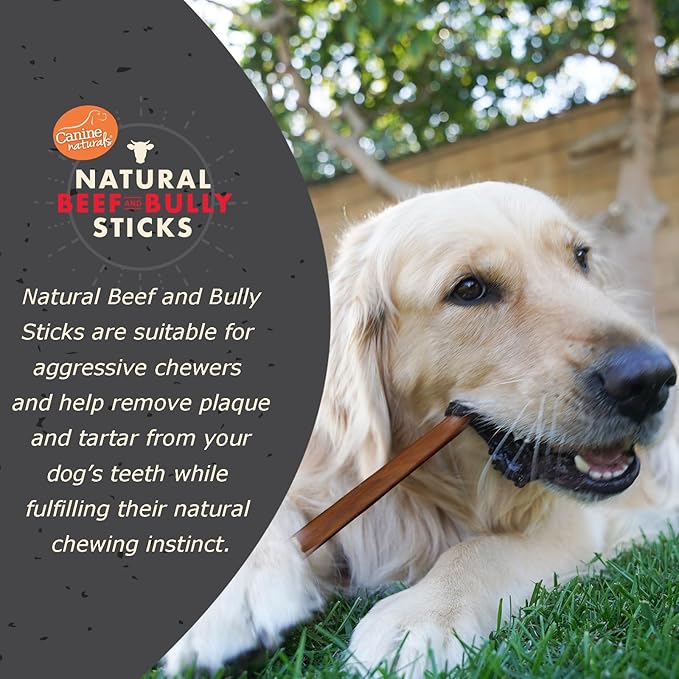 Canine Naturals | Natural Beef & Bully Sticks | 48 Count | Long-Lasting, Odor Free, High Protein Chews Made with 100% Real Bully | Bulk Carton Large Sticks