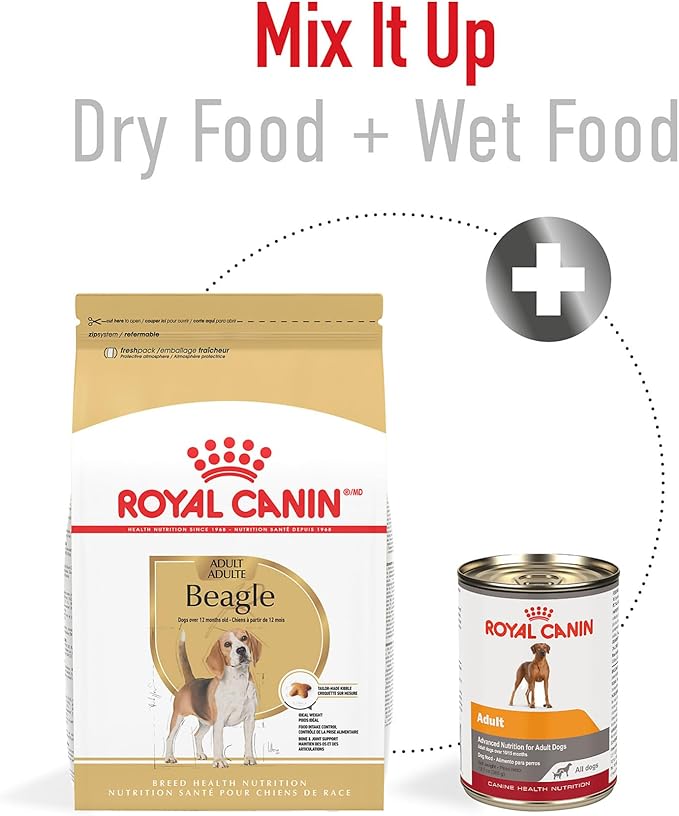 Royal Canin Breed Health Nutrition Beagle Adult Dry Dog Food, 30 lb Bag