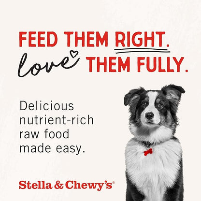 Stella & Chewy's Freeze-Dried Raw Tantalizing Turkey Meal Mixers- Dog Food Topper and Mixer - Made with 95% Cage-Free Turkey, Organs & Bone - Perfect for Picky Eaters - Grain-Free - 1 oz (Pack of 6)