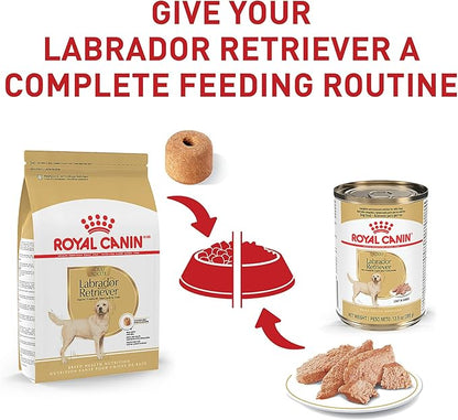 Royal Canin Labrador Retriever Adult Dry Dog Food, 30 lb bag