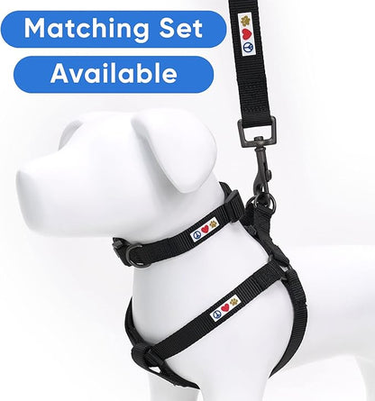 Pawtitas Personalized 6 ft Black Dog Leash XXS/Cat Custom Name and Phone Embroidery Strong Nylon Leash for Small Breeds