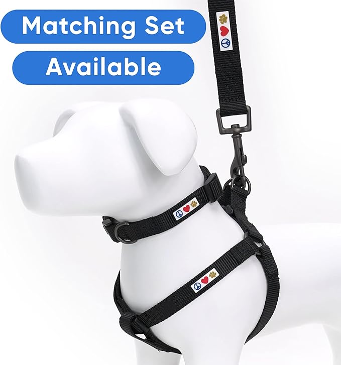 Pawtitas Solid 6 ft Black Dog Leash M/L Custom Name and Phone Embroidery Strong Nylon Leash for Medium and Large Breeds