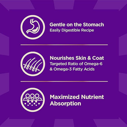 Wellness CORE+ Sensitive Skin and Stomach Adult Dry Dog Food with Freeze Dried Pieces, Wholesome Grain Kibble+, Natural, High Protein, Chicken Free, Salmon and Rice Recipe, 18 lb Bag