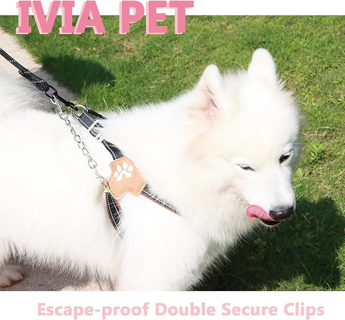 2 PCS Dog Collar Metal Safety Clip, Harness Collar Leash Chain Connector, Heavy Duty Double End Spring Backup Buckle Clasp, Escape-Proof Safety Accessory (Medium, Silver)