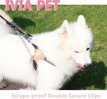 2 PCS Dog Collar Metal Safety Clip, Harness Collar Leash Chain Connector, Heavy Duty Double End Spring Backup Buckle Clasp, Escape-Proof Safety Accessory (Medium, Silver)