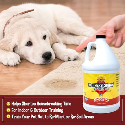 Bodhi Dog Not Here! Spray - Trains Your Pet Where Not to Pee Indoors or Outdoors - Anti Marking Deterrent for Furniture, Carpet & Floor - Training Corrector for Puppy & Dogs - Made in USA (128 Fl Oz)