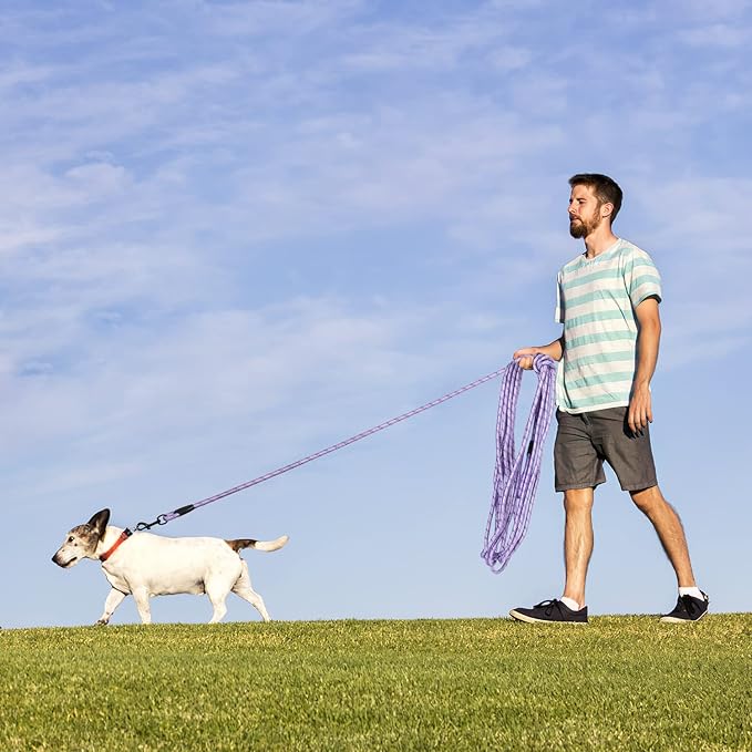 Long Dog Leash for Training 20Ft-Reflective Nylon Rope with Swivel Hook-Recall Agility Lead for Large Small Medium Dogs Outside Walking Hiking-Purple Diam 1/2"