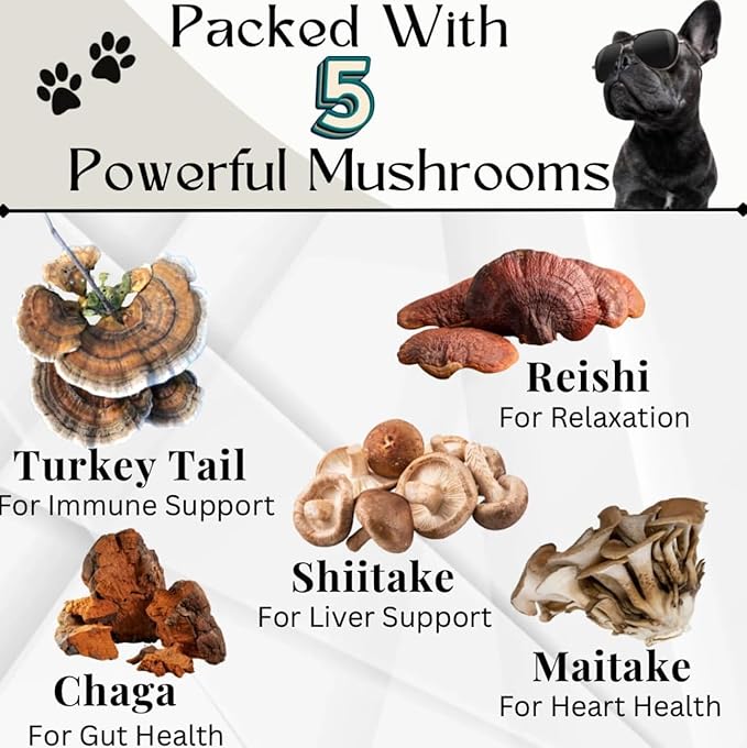 Turkey Tail Mushroom for Dogs - Organic Immune Support Chews - Buddy Health Guard Mushroom Blend - Boosts Immunity, Gut & Joint Health - Natural Chicken Flavor, Grain-Free Supplement - 90 Soft Chews