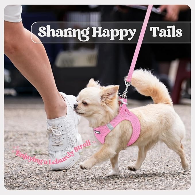 rabbitgoo Dog Harness Small Sized and Leash Set, Step in Soft Light Puppy Vest, Breathable Mesh Pet Harness, Reflective for Safe Easy Walking, Light Pink XS