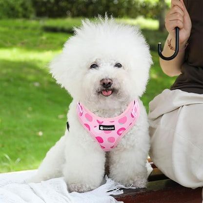 Dog Harness and Leash Set, Adjustable Dog Harness, Dog Leash, No Pull No Choke Puppy Harnesses for Walking Training for Small Medium Pet (Strawberries, M(Chest 15.7-22.1", Neck 12-15"))