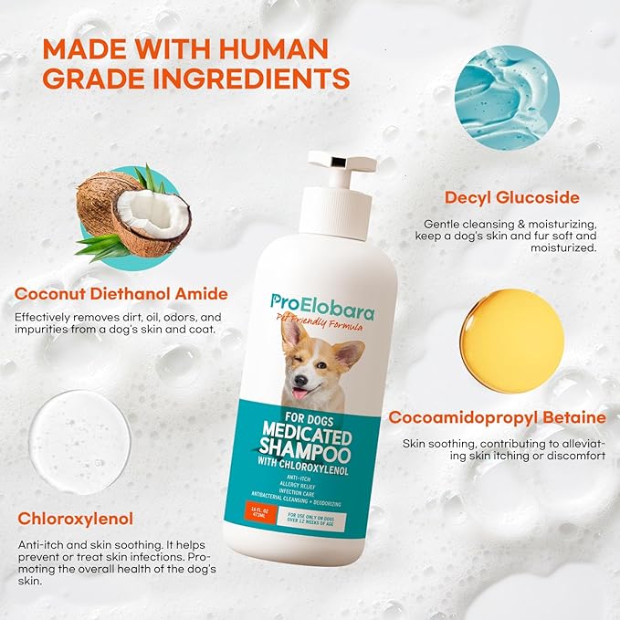 Medicated Dog Shampoo for Allergies and Itching: Antifungal Dog Shampoo, Yeast Infection and Bacterial Treatment for Dogs - Helps Hot Spots, Deodorizing and Anti Itch - Healthy Skin & Coat 16 OZ