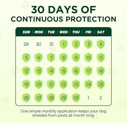 Flea and Tick Prevention for Dogs, 6 Doses Topical Flea Treatment, Helps Control Fleas, Ticks and Lice, for Medium Dogs 23–44 lbs, Waterproof, Fast Acting