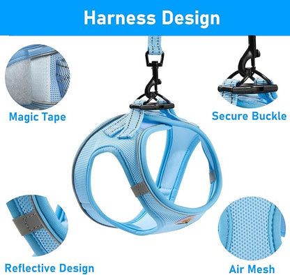 Hipubby Dog Harness and Leash Set, No Pull Soft Mesh Puppy Harness for Small Medium Dogs, Cats - Step in Reflective Breathable Lightweight Vest Harness for Walking, Training - Blue, XS