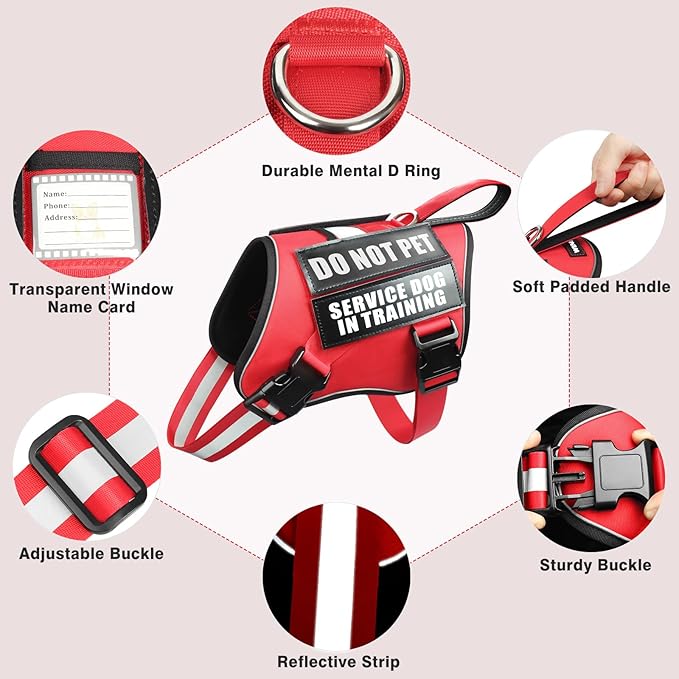 Service Dog Harness and Leash Set, Training Dog Vest with 10 Dog Patches, Emotional Support Therapy Dog Vest Harness for Small Medium Large and Extra Large Dogs(Red, M)