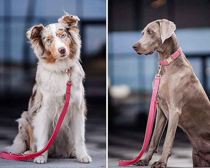 Soft Leather Dog Collar and Leash (6.6') Set - Stylish Rose Gold Heavy Duty Metal Buckle, 4 Adjustable Lengths Leash for Small Medium Large Dogs - Comfortable & Easy to Clean Dark Pink M(13.8"-19.7")