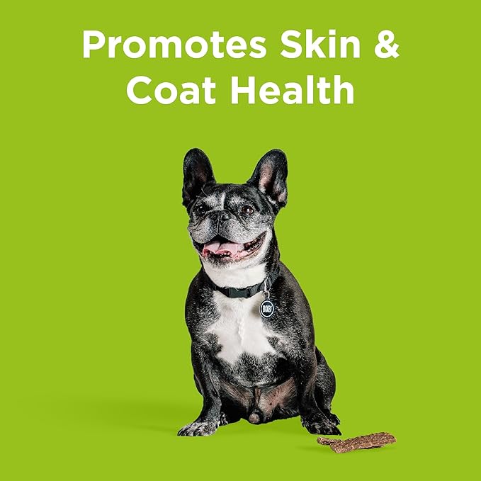 BIXBI Skin & Coat Support Chicken Jerky Dog Treats, 5 oz - USA Made Grain Free Dog Treats - Antioxidant Rich to Support Shiny, Full Bodied Coats - High in Protein, Whole Food Nutrition, No Fillers