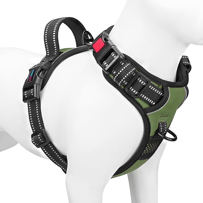 PHOEPET No Pull Dog Harness with Handle Front & Back Clip, Easy on Lockable Snap Buckle at Neck, Adjustable Reflective Vest with Handle for Small Medium Large Dogs (XS, Misty Green)