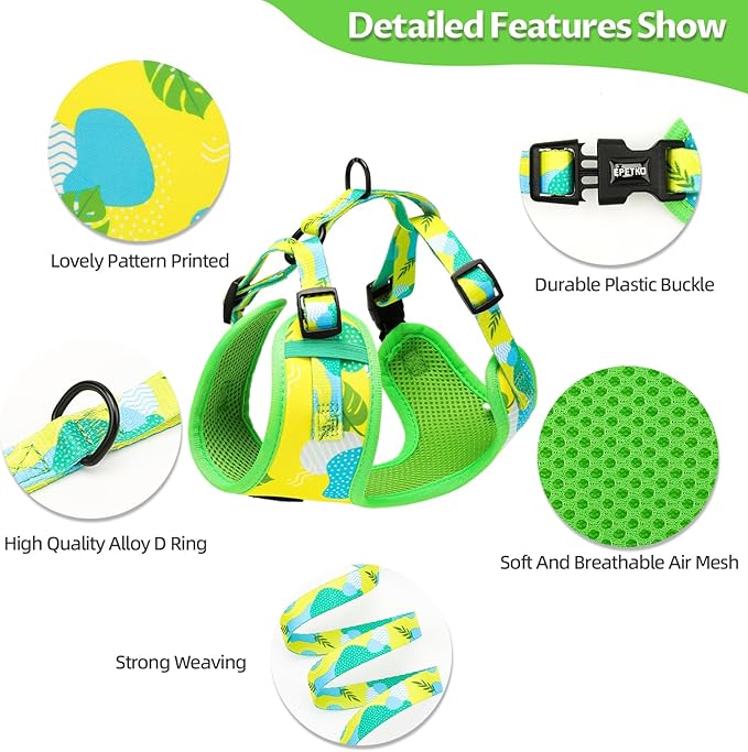 Small Dog Harness and Leash Set of 6, No Pull Soft Lightweight Mesh Puppy Harness， Adjustable Cute Floral Pattern Pet Harness for Small Medium Dogs (Green Leaf, S)
