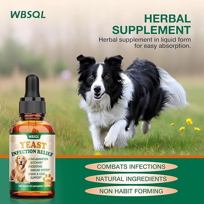 Yeast Infection Treatment for Dogs & Cats - Dog Ear & Skin Itch Relief - Supports Immune Health with Multivitamins Probiotics, 2 fl oz