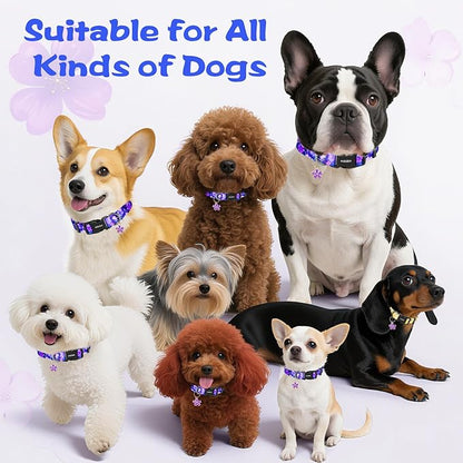 Kazazoo Dog Collar Cute and Soft Nylon Puppy Collar Girl, Adjustable Dog Collars for Medium Large Dogs, Purple Flowers-L